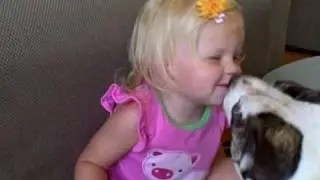 pitbull kissing her toddler friend