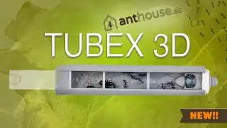 TUBEX 3D , the new PERFECT tube for our ants!