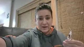 Arestin
