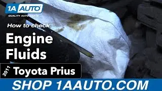 How to check the Engine Fluids 10-15 Toyota Prius