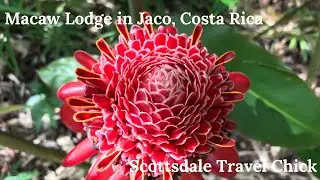 Day Trip to the Macaw Lodge in Jaco, Costa Rica