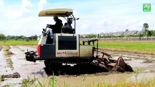 BAJAK SAWAH PAKAI TRAKTOR ALA JEPANG MAXXI ROTAVATOR WD 3100