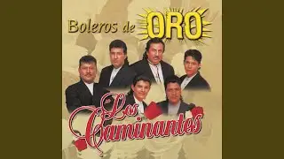 Amor Perdido