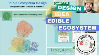 Garden Design Idea: Edible Ecosystems 101