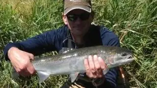 Deschutes River Steelhead Fishing 2016