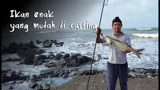 Ikan ini paling mudah dipancing pakai teknik casting