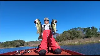 My LAST Fishing Tournament For 2020!?