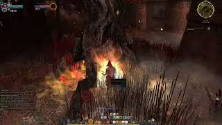 🍀Der Herr der Ringe Online Runenbewahrer aus Bruchtal #19 Der Rotpass