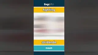 🇬🇧🇸🇪 fighting - stridande : learn English : l&aring;t oss l&auml;ra oss engelska : vocabulary builder