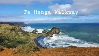 Te henga walkway/ best hikes new zealand 001/Go pro hero 7 black/dji mavic pro 2