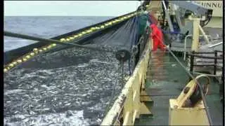 Trygt hjem - farlig fiskeryrke