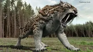 Smilodon Prehistoric Animal Attack | TheAnimal World