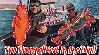 Fishing With Swim Baits For Big Vermillion And Lingcod In Half Moon Bay !
