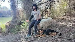 Проблемы моих собак начались дома.