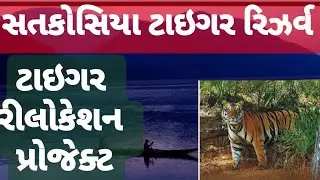Tiger relocation project satkosia tiger reserve odisa #studyteller #UPSCINGUJARATI #GPSC #TIGERCENSU