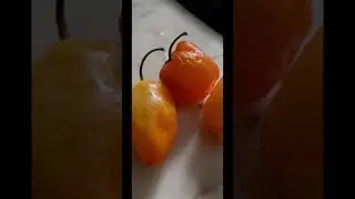 Curry Habanero Pineapple Wings ￼