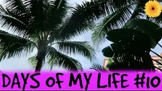 BAHAMAS VLOG | MEGHAN HUGHES