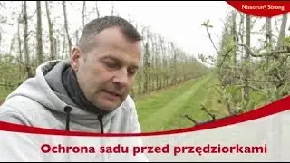Ochrona sadu przed przędziorkami
