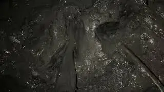 Another large tidal mudflat adventure 