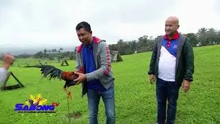 RED Gamefarm Part 2