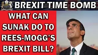 Sunak's Big Brexit Decision for 2023
