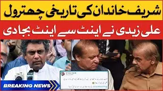Ali Zaidi Bashes Out At Sharif Family | PMLN Govt Exposed | Breaking News