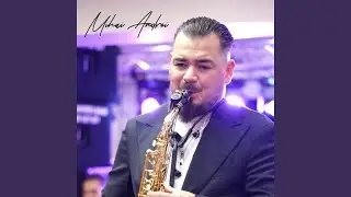 Instrumentala lenta (Live)