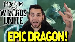 A NORWEGIAN RIDEGBACK?! Fortresses, Potions and More! Harry Potter: Wizards Unite