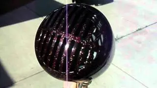 Ant's Eye Candy