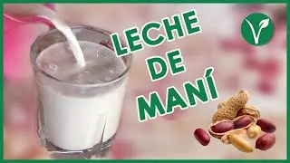 COMO HACER LECHE DE MANÍ CACAHUATE EN CASA! RAPIDO Y FÁCIL! LECHES VEGETALES EN CASA