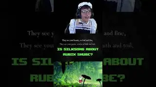Is Silksong about ME?