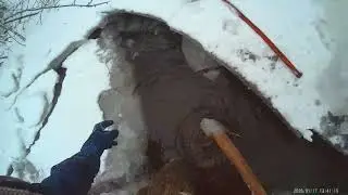 Giant beaver lodge first check...ice gives way..