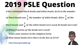 2019 PSLE Q8: A Challenging Word Problem!