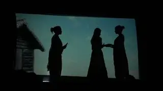 Shadow Theatre | Indian Fest 2024 | Smolensk State Medical University | Russia