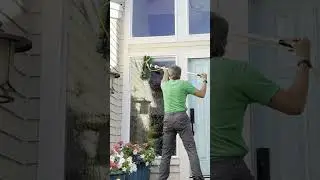 Water Fed Pole Window Cleaning for Sparkling Clean Windows