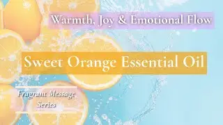 Sweet Orange Essential Oil (Aromatics International) &mdash; Warmth, Joy & Emotional Flow