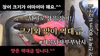 장어 크기 어마어마, 맛은 역대급 보고 가세요.^^
