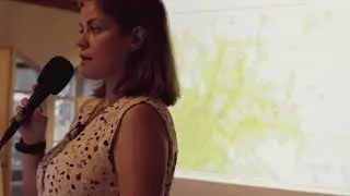 Lobau-Autobahn Infoclip 4: Alternativen zu Lobautunnel und Stadtstra&szlig;e