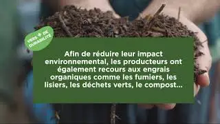 La culture de la pomme de terre