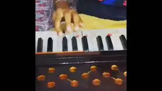janam janam song | harmonium cover | #Krishna singla | #youtubeshorts #viral #harmonium #music