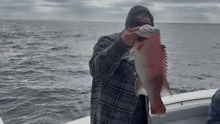Рыбалка на островах Коронадо с подписчиком! | Майк пригласил нас! 🚤🐟