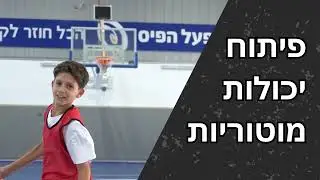 דודג'בול ישראל