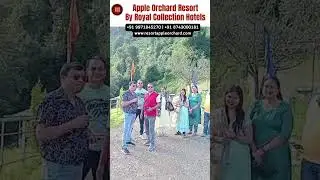 Apple Orchard Resort Dhanaulti Valuable Guest Review | Royal collection Hotels #shortsvideo #shorts