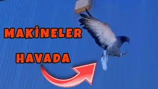 HEYECAN YAPTIM 😱 MAKİNELER HAVADA KAYBOLDU . GÜVERCİN UÇURMAYA DEVAM