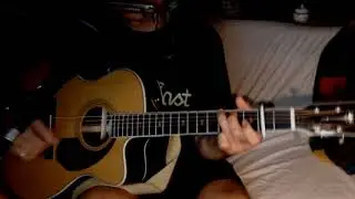 Via Chicago ~ Wilco - Jeff Tweedy ~ Acoustic Cover w/ Fender PM-3 Deluxe 000 NT & Bluesharp