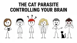 The Cat Parasite That's Controlling Your Brain Right Now