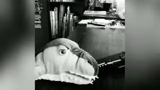 Yow