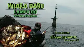 MANCING IKAN BERONANG || CARA TERMUDAH DI JAMIN PANEN!!! MUARA BARU DAM HIJAU @hamslf690
