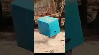 Box prank with dog 😂 | Dog funny video | #shorts #dog #ytshorts