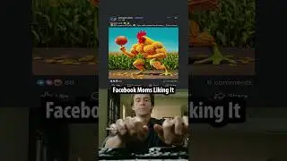Facebook Mom experience